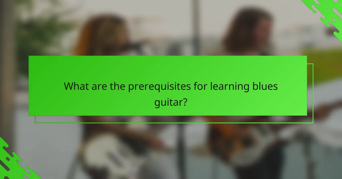 What are the prerequisites for learning blues guitar?